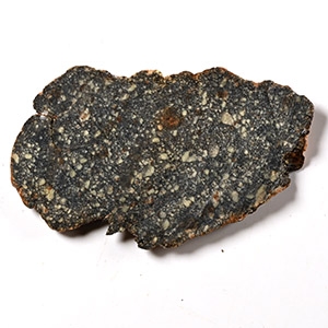 Natural History - Diogenite NWA 4664 Meteorite Slice